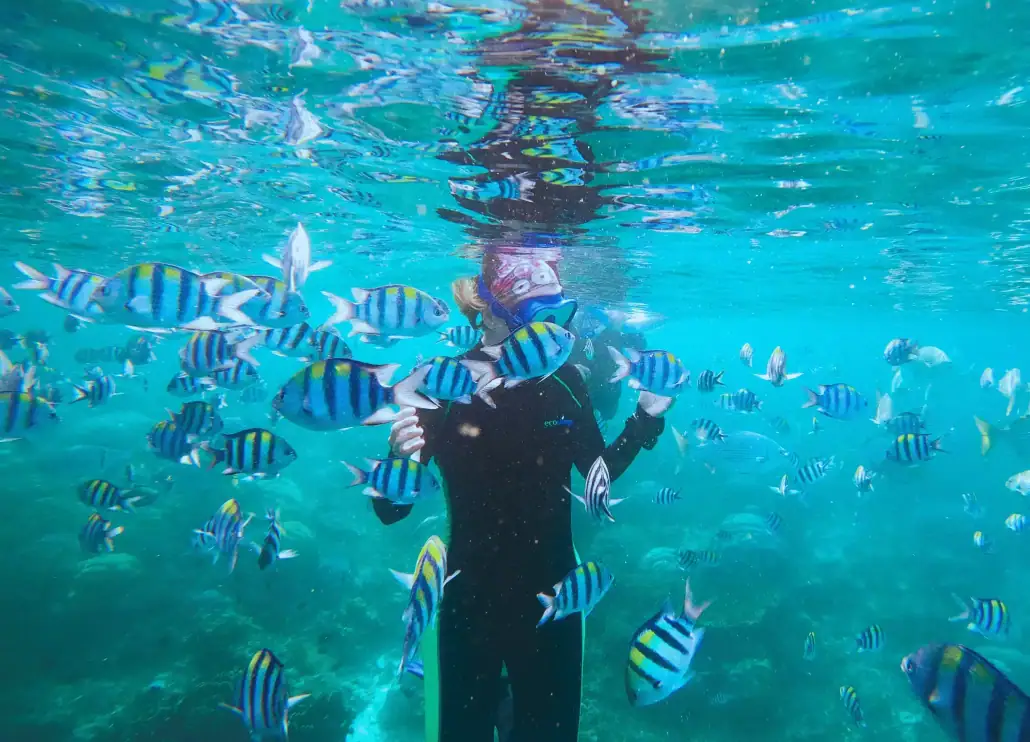 SeaTrek - snorkeling in yenbuba fishbowl raja ampat SeaTrek's guest snorkeling in Yenbuba Raja Ampat with schools of fish