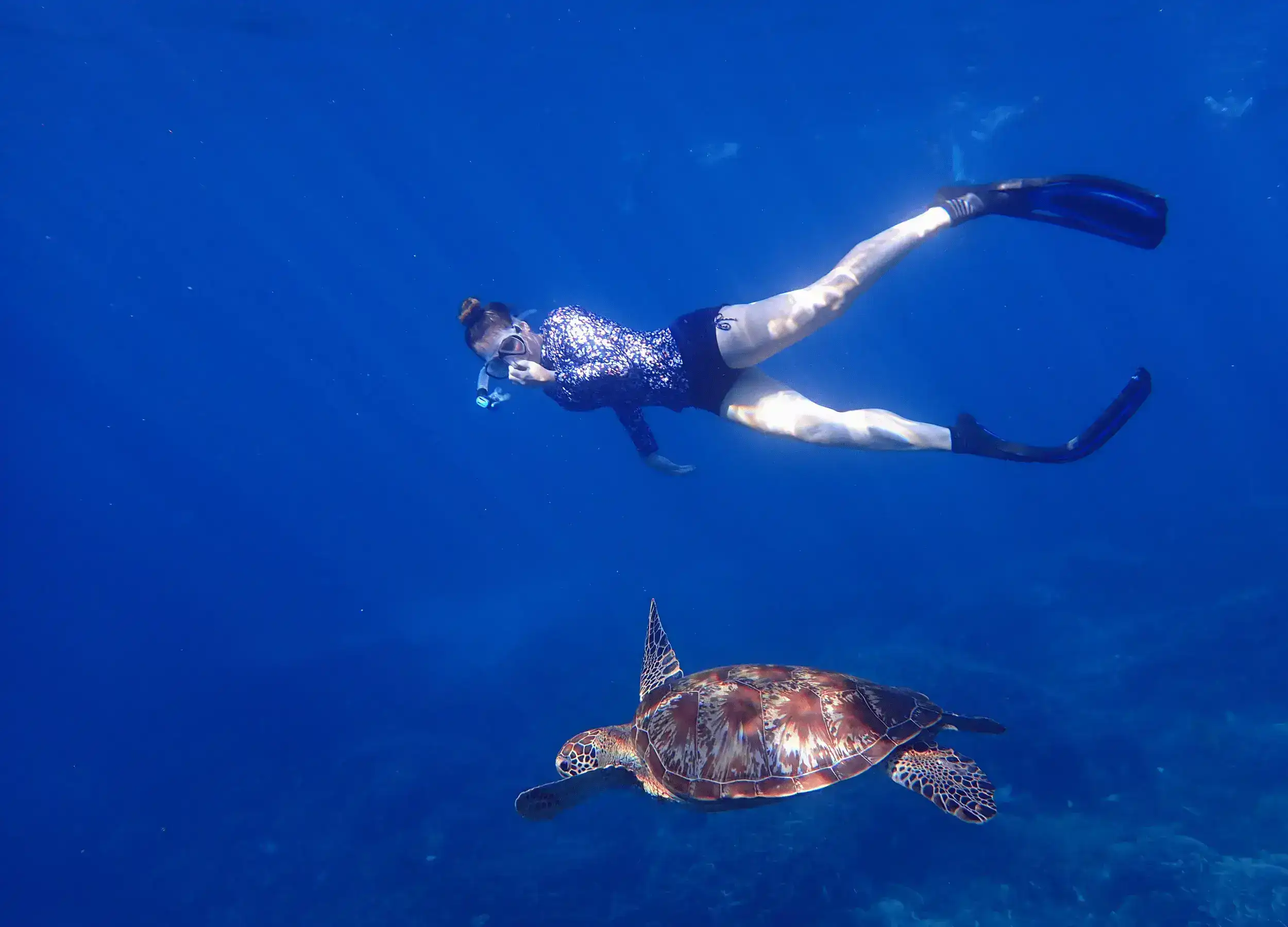 Natasha swimming with turtle.