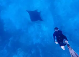 Philip swimming with Manta.