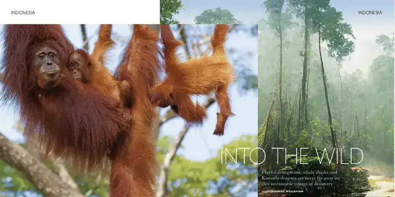 SeaTrek in the press - Into the Wild in Cruise and Travel SeaTrek in the press - Into the Wild in Cruise and Travel