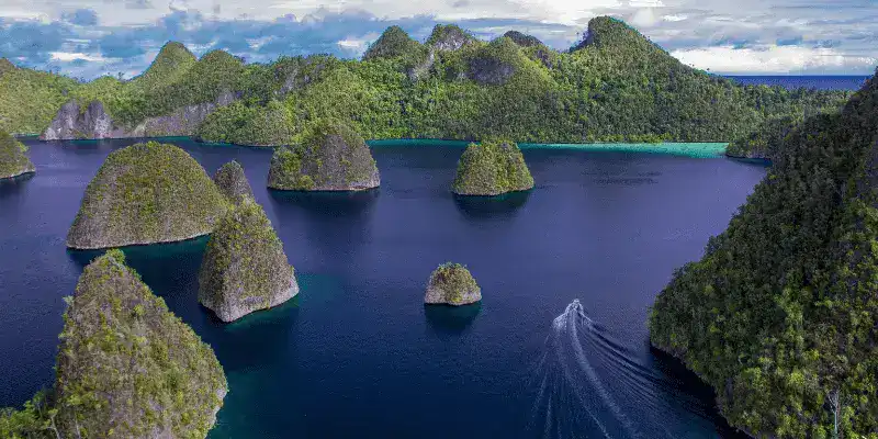 SeaTrek in the press - Raja Ampat by Jennifer Hayes SeaTrek in the press - Raja Ampat by Jennifer Hayes