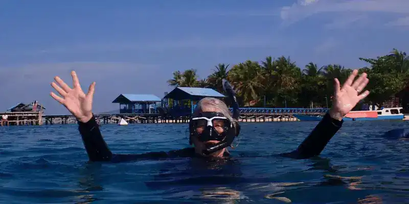 SeaTrek in the press - Snorkeling by Brett Atkinson SeaTrek in the press - Snorkeling by Brett Atkinson