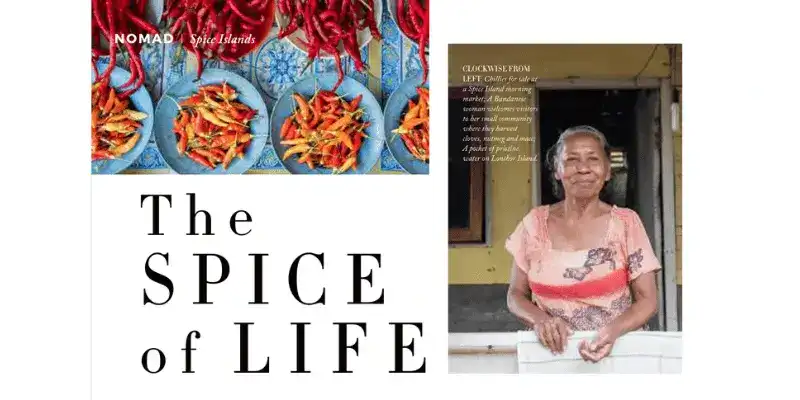 SeaTrek in the press - The Spice of Life in Nomad Magazine SeaTrek in the press - The Spice of Life in Nomad Magazine