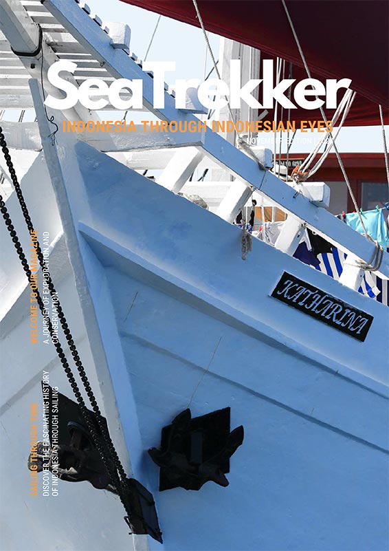 SeaTrekker Magazine Cover November 2024 Edition