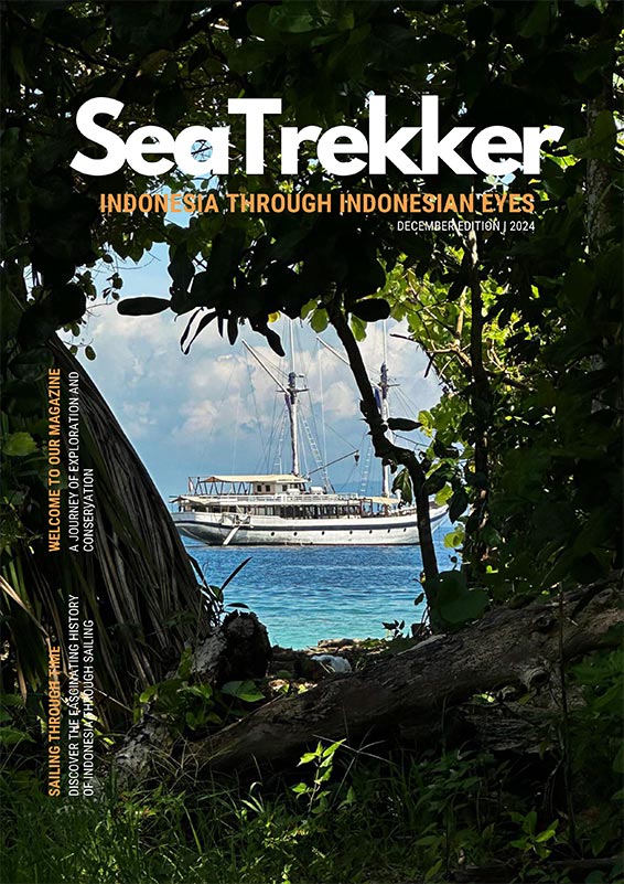 SeaTrekker Magazine Cover December 2024 Edition