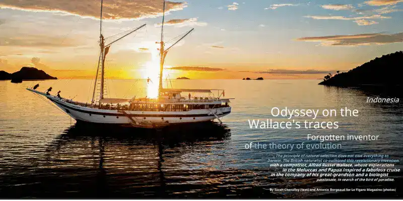 SeaTrek in the press - Le Figaro Magazine SeaTrek in the press - Le Figaro Magazine