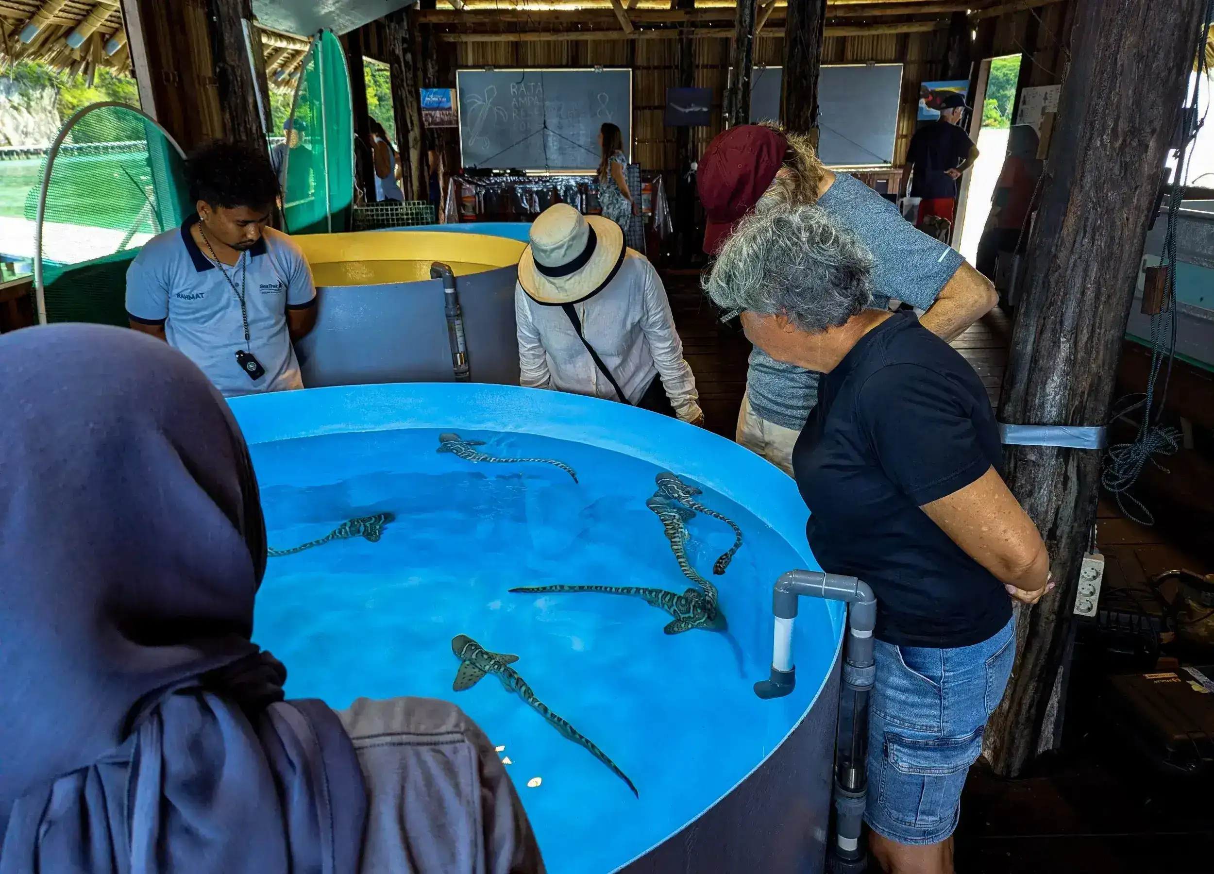 SeaTrek guest visiting Zebra Shark Hatchery in Raja Ampat.
