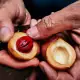 Nutmeg in the Spice Islands