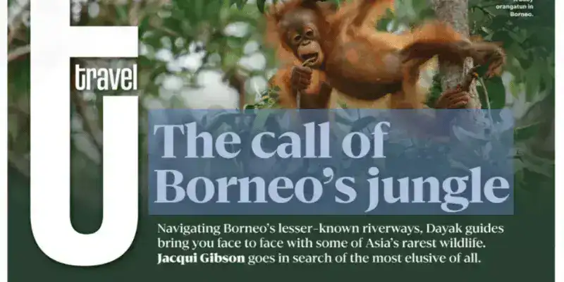SeaTrek in the press - The Post - Jacqui Gibson SeaTrek in the press - The Post - Jacqui Gibson