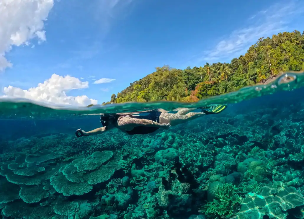 SeaTrek - Snorkeling spots Indonesia best snorkeling spots Indonesia