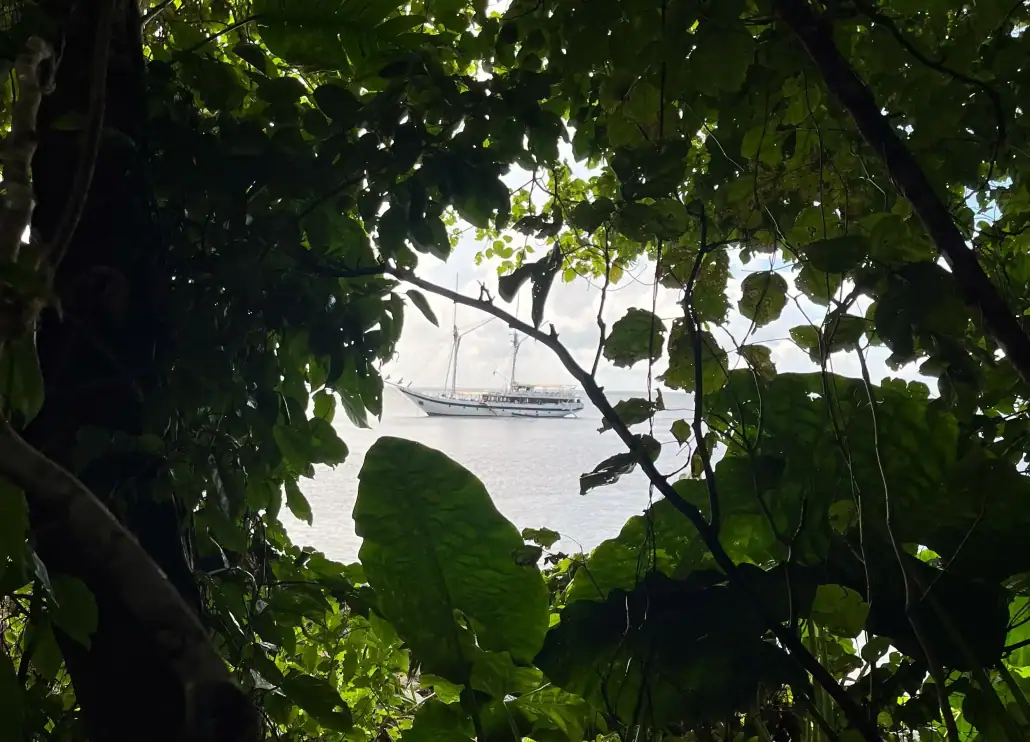 Ombak Putih shots view from the forest island