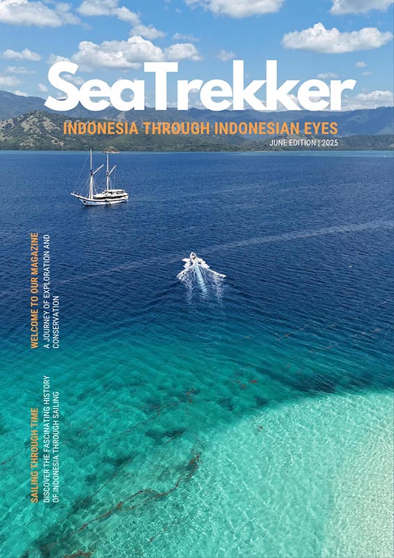 SeaTrekker Magazine Cover June 2025 Edition