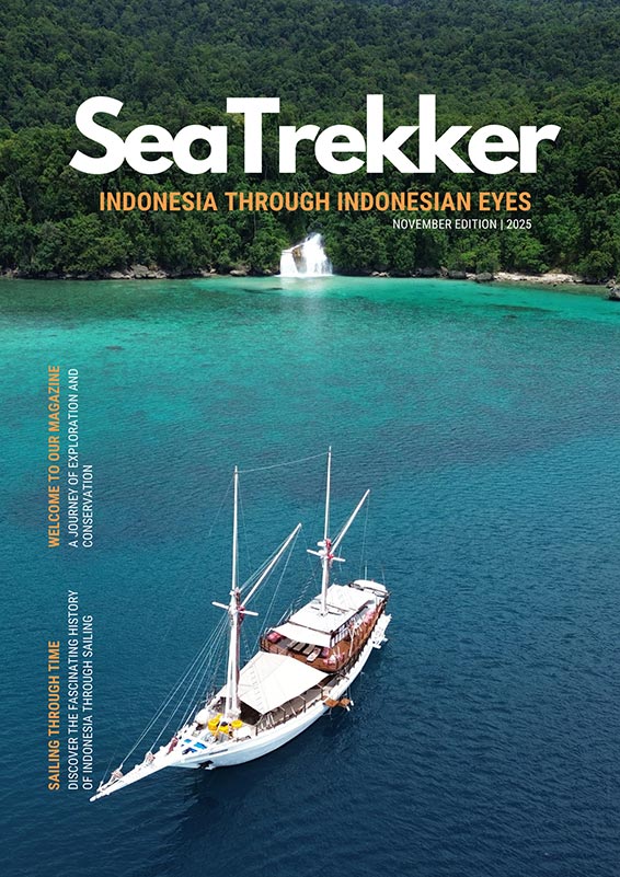 SeaTrekker Magazine Cover November 2025 Edition