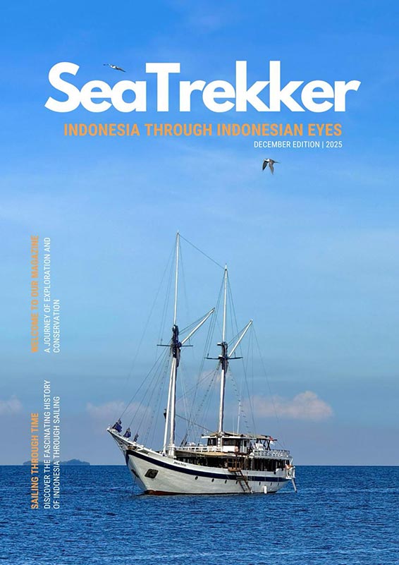 SeaTrekker Magazine Cover December 2025 Edition