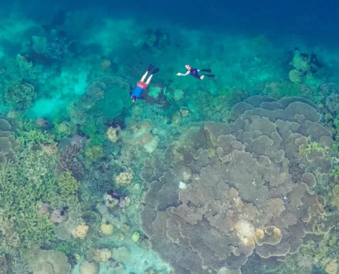 SeaTrek guests snorkeling around the coral area