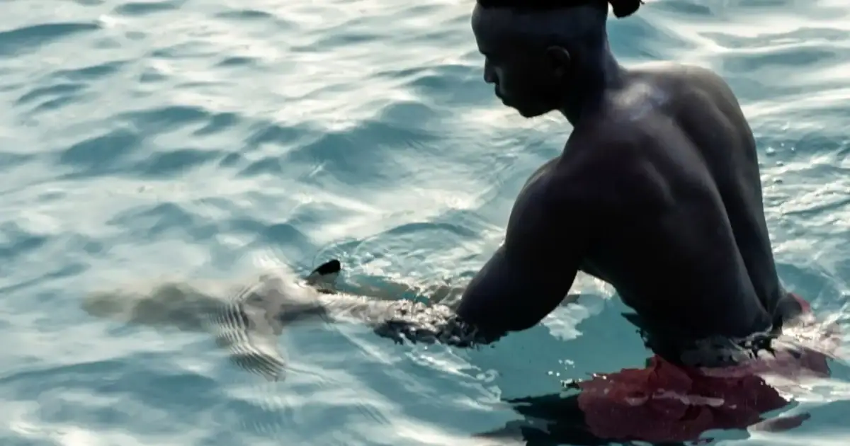 Gibbs Kuguru with a Shark