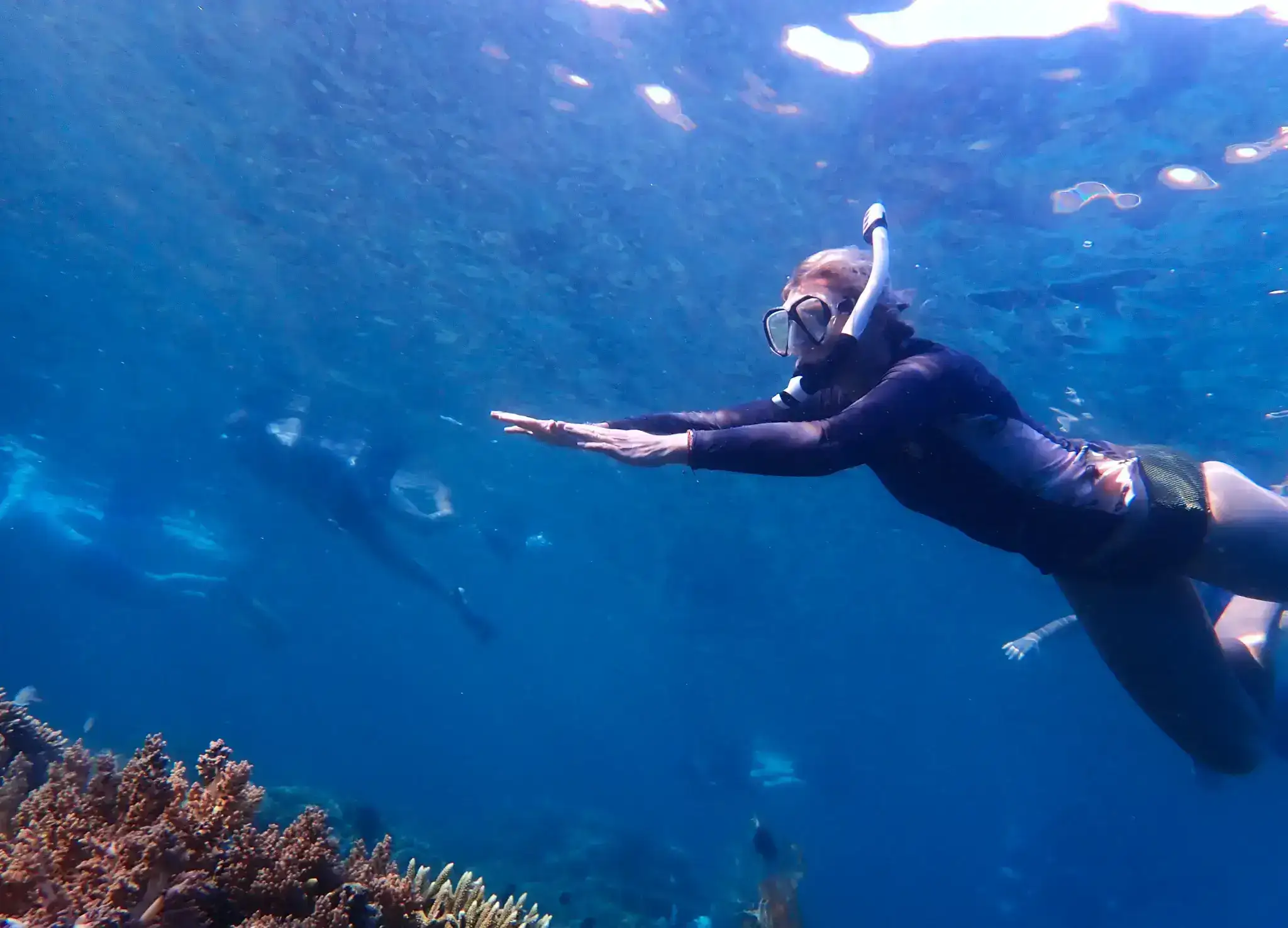 Catherine snorkeling with a group of SeaTrek travelers.
